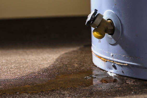 Best Water damage cleanup near me  in Paddock Lake, WI