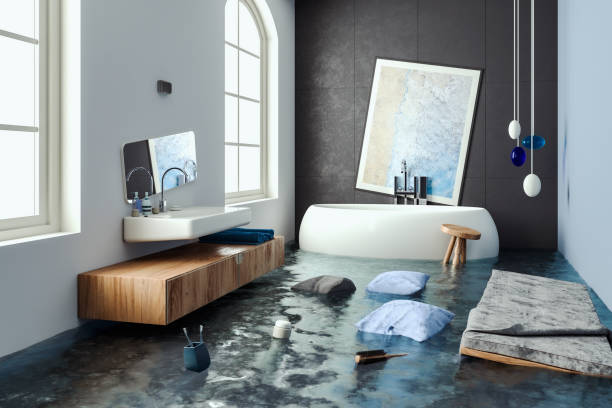 Best 24/7 water damage repair  in Paddock Lake, WI