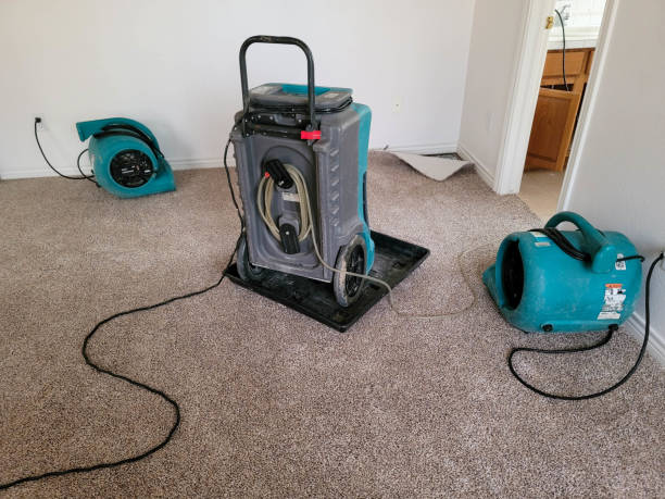 Best Sewage cleanup and water damage restoration  in Paddock Lake, WI