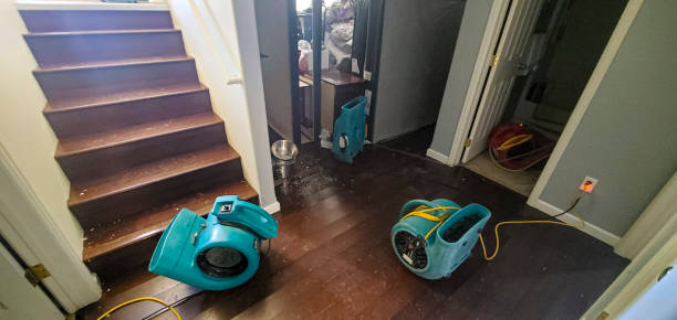 Best Water damage restoration cost  in Paddock Lake, WI