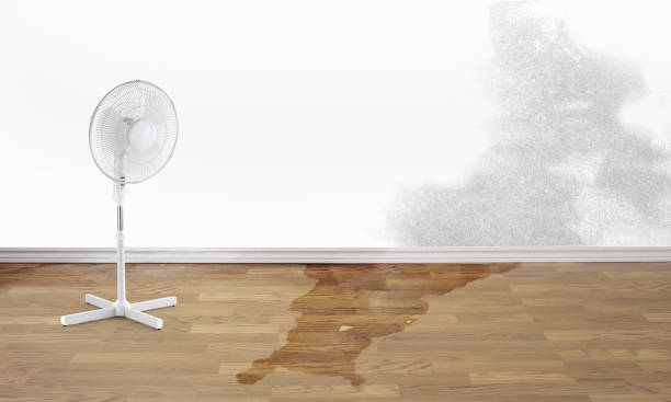 Best Water damage restoration near me  in Paddock Lake, WI