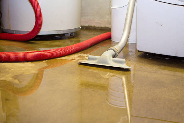 Best Water damage restoration near me  in Paddock Lake, WI