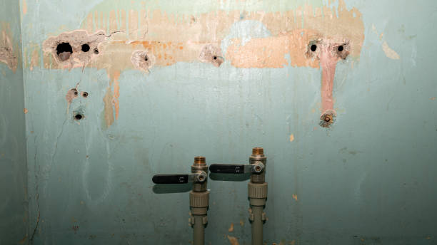 Best Sewage cleanup and water damage restoration  in Paddock Lake, WI