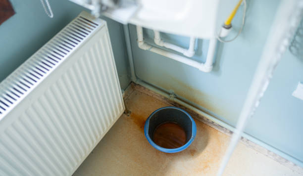 Best Residential water damage restoration  in Paddock Lake, WI