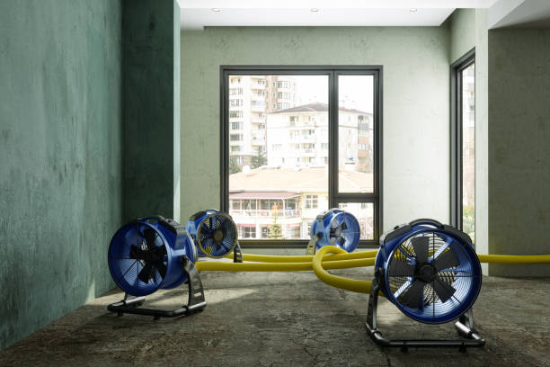 Best Carpet water damage restoration  in Paddock Lake, WI